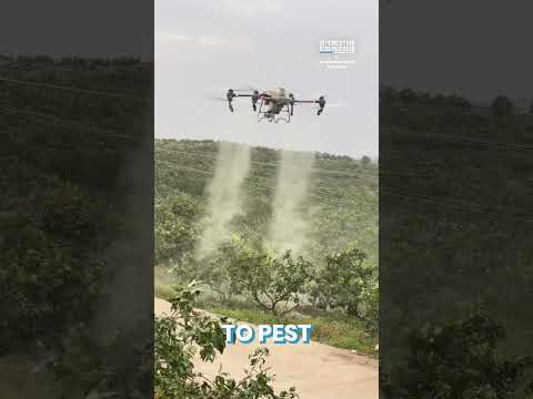 Are Agricultural Drones Really the Future of Farming?