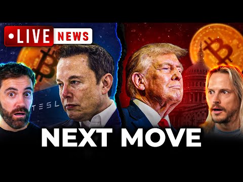 Bitcoin&#039;s NEXT Rally, BIG RISKS, Trump, Elon, The Bill &amp; More!