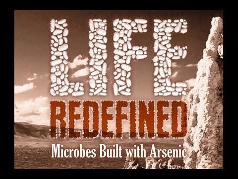 Public Lecture—Life Redefined: Microbes Built with Arsenic