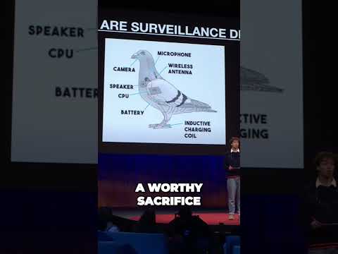 Eyes in the Sky: How Surveillance Drones Replace Birds for Public Safety