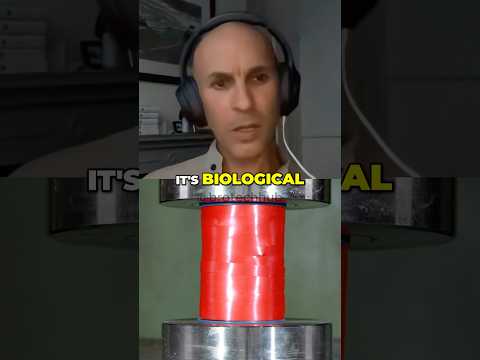 Unlocking the Mysteries of Our Unique Brains - Anil Seth #consciousness #aitechnology #techtalk