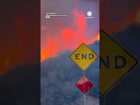 Wildfire Tears Through Pacific Palisades, Fueled by Fierce Winds