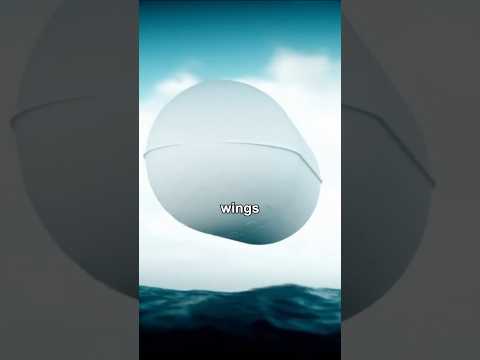 The Story of The Tic-Tac UFO Encounter