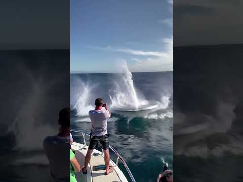 Check out this UFO that these tourists captured during an excursion! Brand new footage!