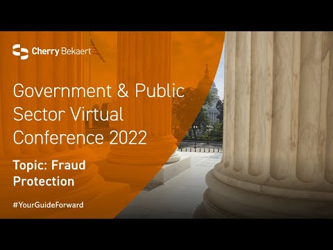 Fraud Risk Management for Government and Public Sector