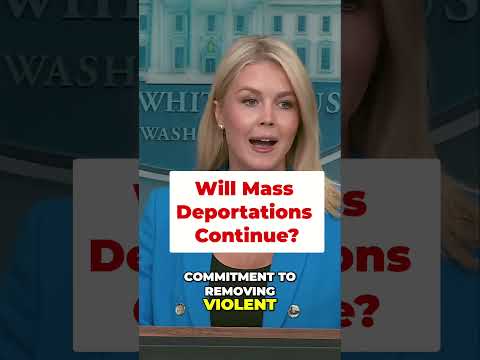 Trump’s MASS deportation plan – ICE &amp; Border Patrol surge begins
