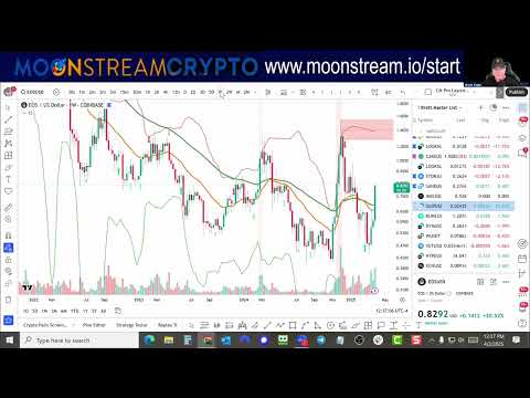 🚀 Navigating the Volatile Crypto Wave 🌊