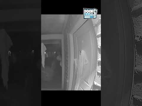 Alien Sighting on Ring Doorbell