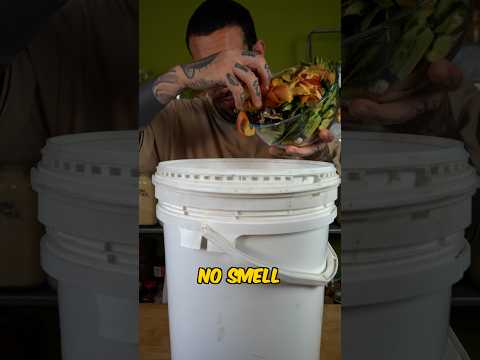 DIY Indoor Compost #shorts