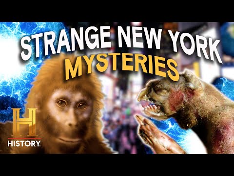 Monsters &amp; UFOs INFILTRATE New York City | The Proof Is Out There