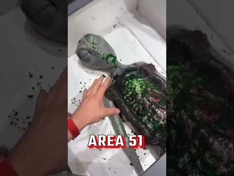 I went to Area 51 😭