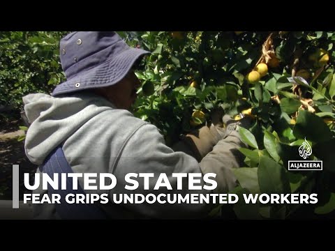 Fear grips undocumented workers in the US as raids spark economic and emotional turmoil