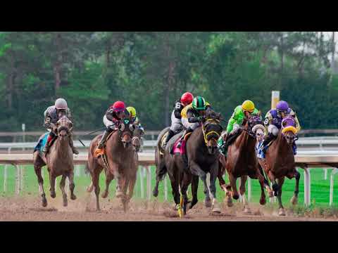 Kentucky Derby 2025: The Ultimate Guide to Horses and Odds!