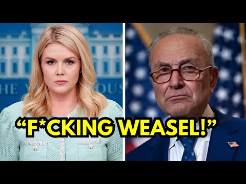 Chuck Schumer Mocks Karoline Leavitt—She Instantly Drops a BOMBSHELL That Leaves Him Shaken!